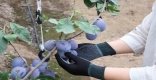 [ֵ]Ѹ ڵ 顯 ù 